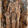 The three Monkeys
Mixed media - 120x180 cm